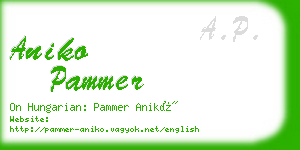 aniko pammer business card